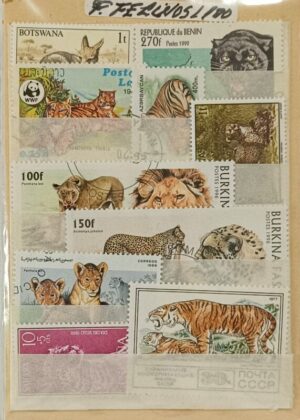 Fauna felinos - Pacote de 100 selos diferentes