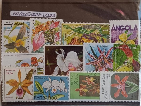 Orquídeas - Pacote de 250 selos diferentes