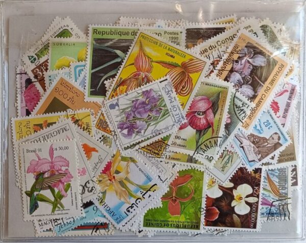 Orquídeas - Pacote de 250 selos diferentes - Image 2