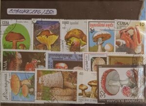 Cogumelos - Pacote de 250 selos diferentes