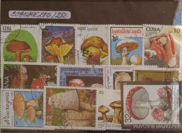 Cogumelos - Pacote de 250 selos diferentes